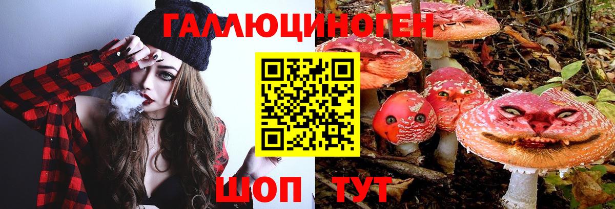 Галлюциногенные грибы прущие грибы Шелехов