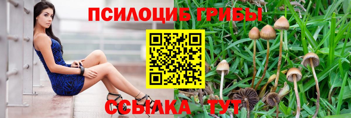 Галлюциногенные грибы прущие грибы  Вход с VPN  Галлюциногенные грибы мицелий  как найти закладки  Шелехов 