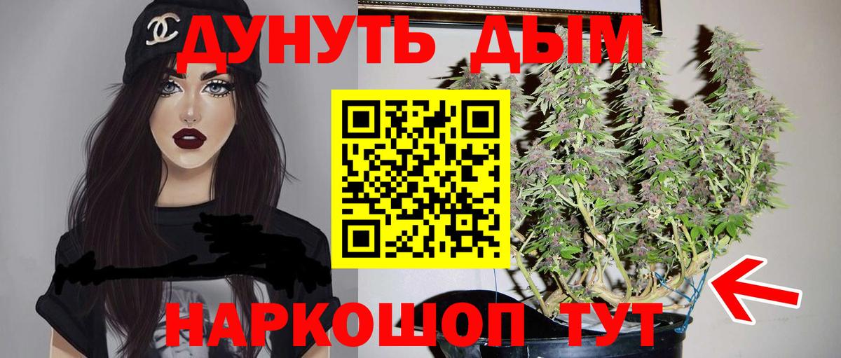 Марихуана гибрид Шелехов