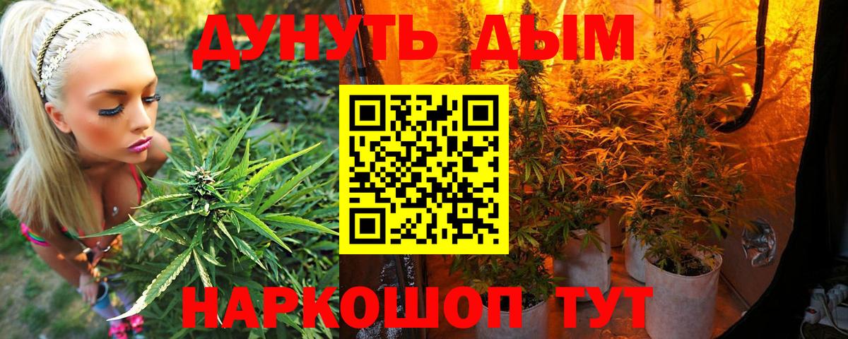 Бошки марихуана MAZAR  Бошки Шишки гибрид  Шелехов  Каннабис MAZAR  Вход с VPN 